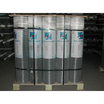 High Quality Welded Wire Mesh